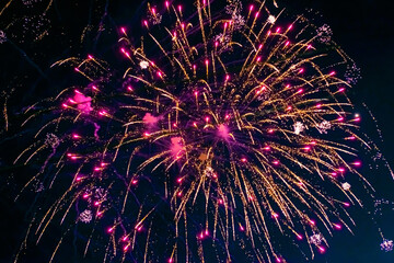 Beautiful multi-colored fireworks against the background of the night sky.