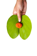 Indian festival Dussehra, green apta leaf in hand
