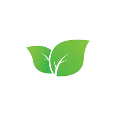 Green leaf logo vector art and graphics