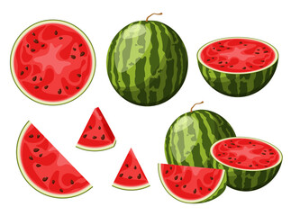 A set of watermelons on a white background. Cartoon design.
