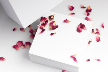 White product stand, mock up on a white background texture background Ideal backdrop for product presentations, exhibitions and mockups.