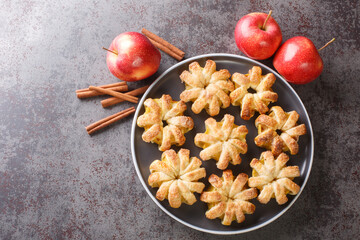 baked apples wrapped in puff pastry and sprinkled with sugar and cinnamon close-up in a plate on...