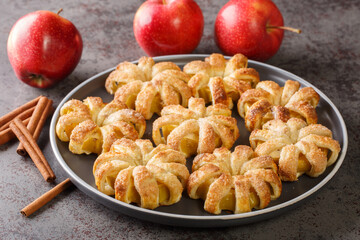 baked apples wrapped in puff pastry and sprinkled with sugar and cinnamon close-up in a plate on...