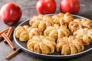 Autumn dessert Apple puff pastry with sugar and cinnamon close-up in a plate on the table. Horizontal