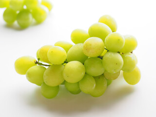 白い台に置かれたマスカット