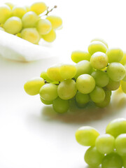 白い背景に複数のマスカット