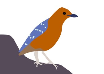 bird on a branch
