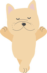 cute french bulldog puppy dog ballerina dance