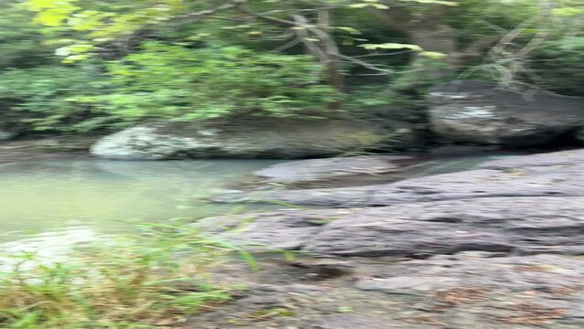 Sierra de manantlan, autlan de navarro, jalisco