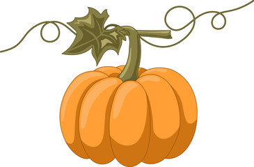 Cute orange pumpkin vector illustration