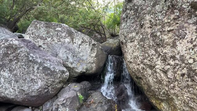 Sierra de manantlan, autlan de navarro, jalisco