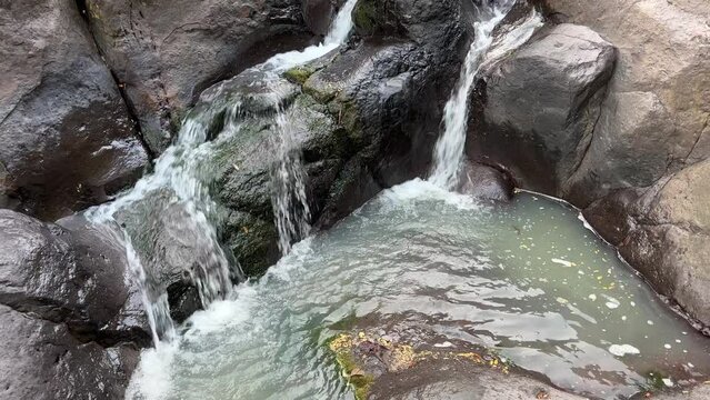 Sierra de manantlan, autlan de navarro, jalisco