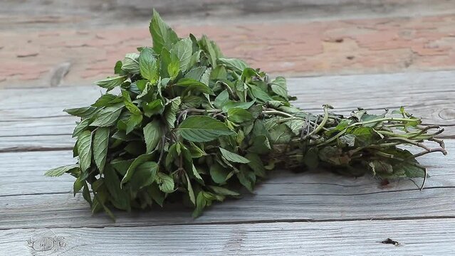 A bunch of fresh and fragrant mint on a wooden background close up - benefits of mint concept