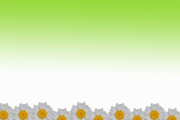 Frame box from white flowers