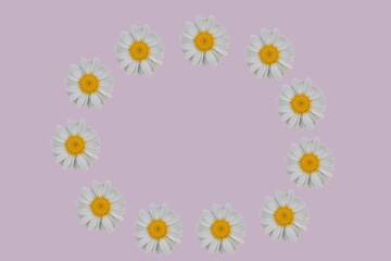 Obraz premium Frame box from white flowers
