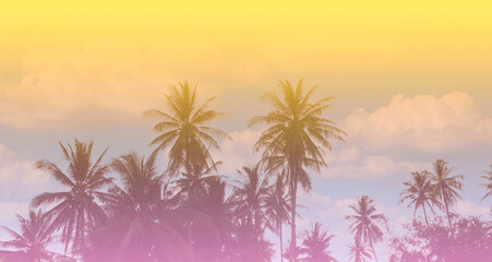 Fototapeta na wymiar The banner of Summer colorful theme with palm trees background as texture frame image background