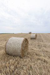 bales of straw at the field