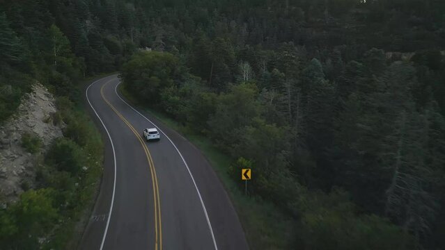Drone Shot, Following White Car Moving on Empty Road in Evergreen Forest at Dusk