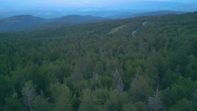 Aerial View of Evergreen Forest in Sandia Mountains Range Near Albuquerque, New Mexico USA on Cloudy Day, Drone Shot