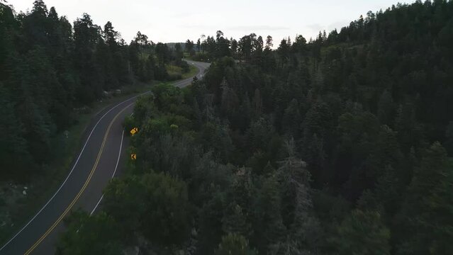Drone Aerial View of White Car on a Road in Dense Forest Landscape in Twilight, Sandia Mountains, New Mexico USA