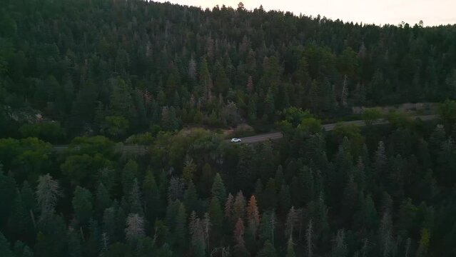 Aerial View of White Car on Rural Countryside Road in Colorful Forest, Tracking Drone Shot