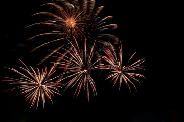 Fototapeta na wymiar Colorful fiery flowers from exploding pyrotechnics against black night sky. Festive fireworks.