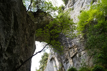 Arco di fondarca lungo il sentiero da Pieia nelle Marche