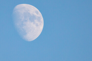 昼間にうっすら見える十五夜前の月
