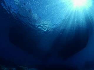 silverside fish school underwater scenery of mediterranean rocks and reef deep blue clean water