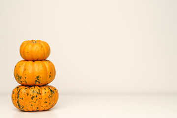 Pumpkins on white isolated background. Yellow autumn harvest pumpkins on empty backdrop. Fall holidays, halloween, thanksgiving day, food concept.