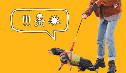 Aggressive, reactive dog on the leash against orange background with speech bubble. Funny dachshund...