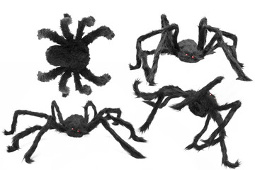Black spider