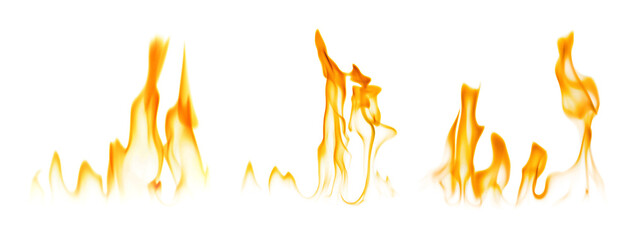 Set with beautiful bright fire flames on white background. Banner design