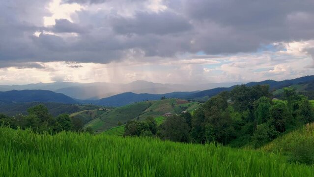 Timelapse of green rice field during rainy season with beautiful sky. Landscape background shot. Chaing Mai, Thailand.