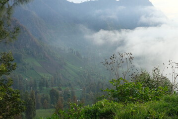 beautiful view of misty green hills