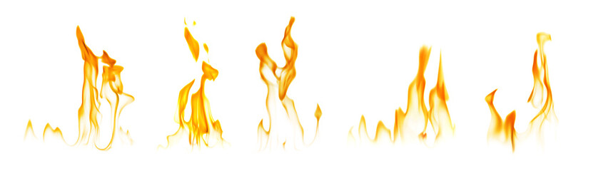 Set with beautiful bright fire flames on white background. Banner design