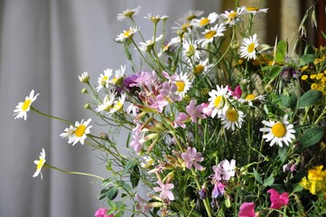 white and yellow flowers