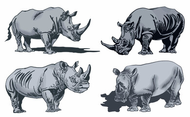 Color  set of rhinoceroses on white isolated, vector illustration,graphical drawing. Stylish print elements, savanna habitant
