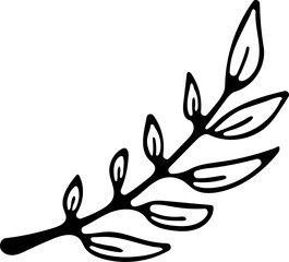 Hand drawn Floral, plants doodles illustration