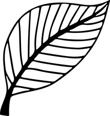 Hand drawn Floral, plants doodles illustration