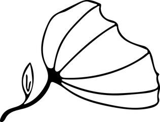 Hand drawn Floral, plants doodles illustration