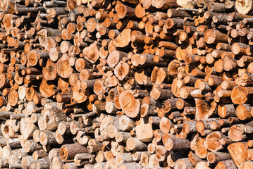 An alternative to expensive gas fuel.Pile of logs on a sunny summer day.firewood solid fuel found background.