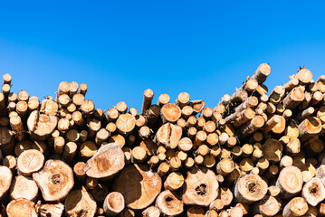 An alternative to expensive gas fuel.Pile of logs on a sunny summer day.firewood solid fuel found...