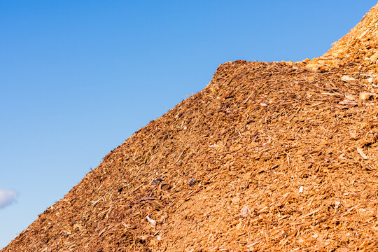 Alternative fuel,ecological fuel,biofuel sawdust,sawdust closeup background.Sawdust texture.A large pile of sawdust from wood after wood processing.Outdoors shot.