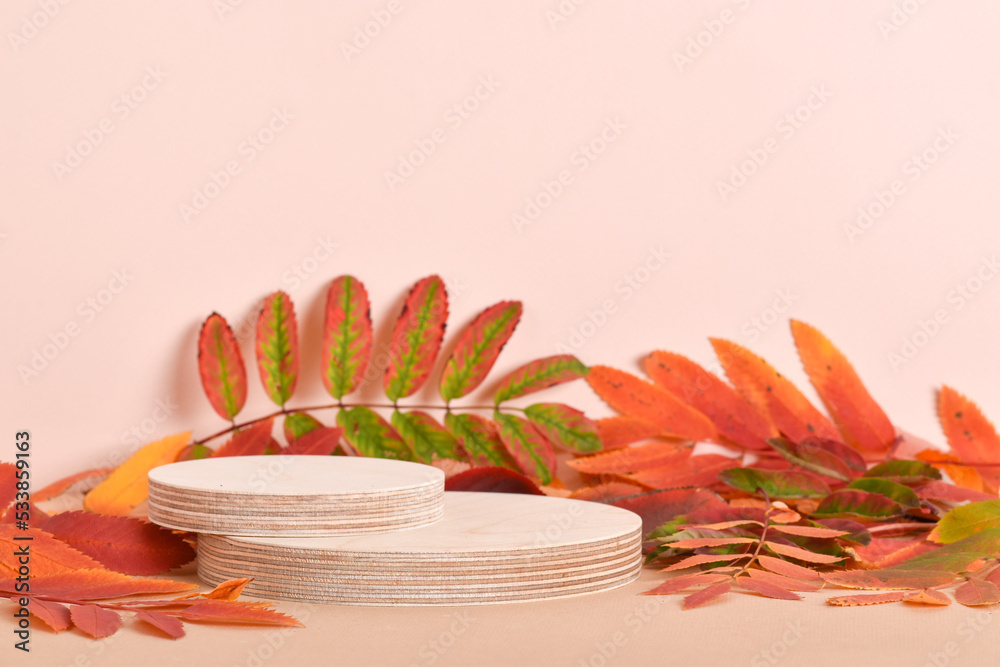 Wall mural autumn podium made of two natural wooden cylinders and autumn foliage.