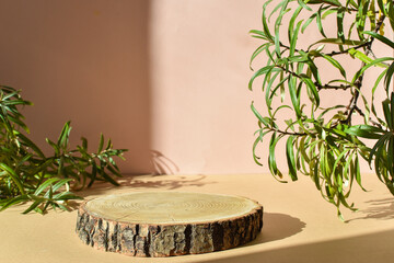 Wooden podium for the presentation of eco-products. Cut down a tree with leaves and natural shadows