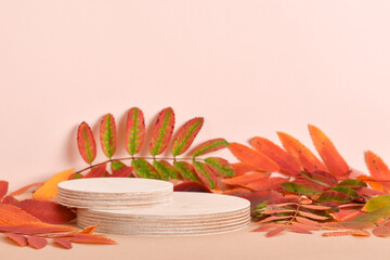 Autumn podium made of two natural wooden cylinders and autumn foliage.
