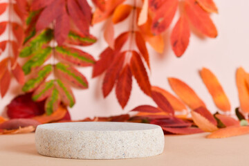Autumn podium made of natural stone and autumn foliage.