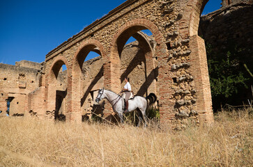 Young and beautiful Spanish woman on a Thoroughbred horse for competition. The woman has gone out...