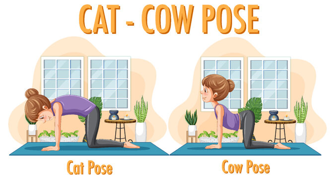 Yoga at home with cat cow pose